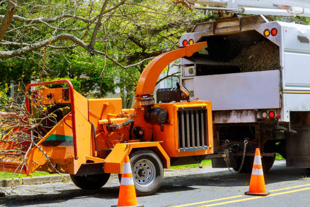 Best Tree Mulching  in Gunbarrel, CO